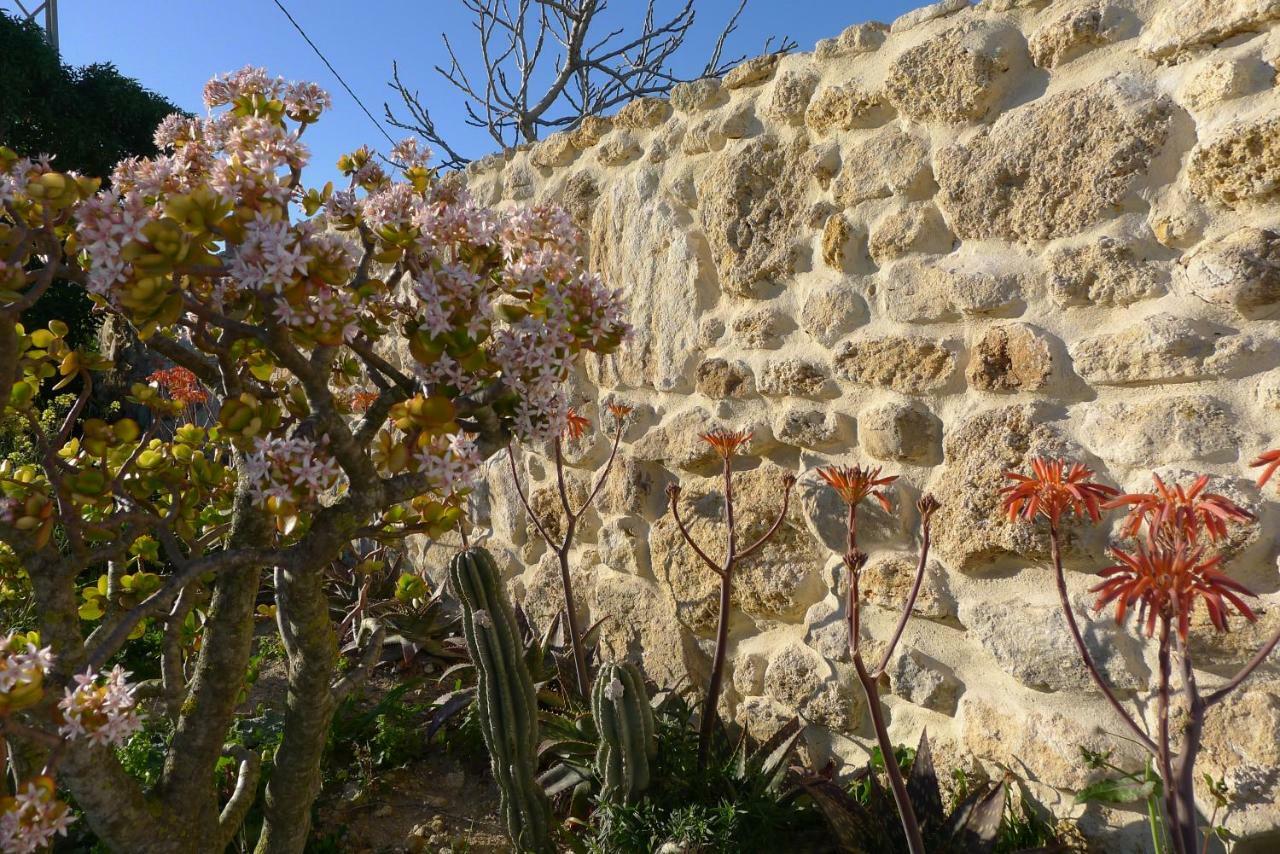 Finca Du Ressourcement Higueron Lejlighed Vejer de la Frontera Eksteriør billede