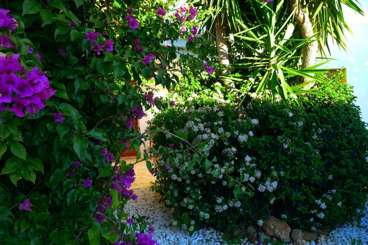 Finca Du Ressourcement Higueron Lejlighed Vejer de la Frontera Eksteriør billede