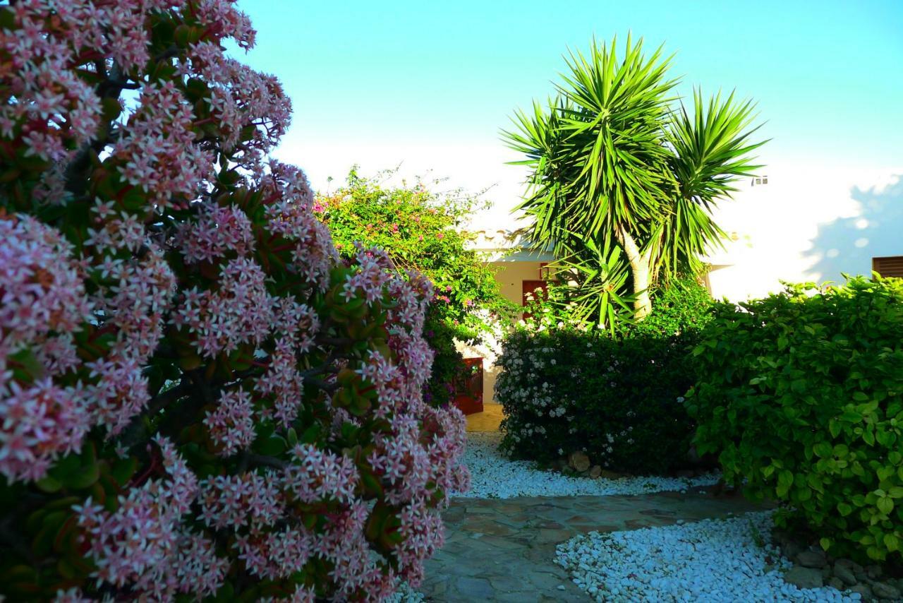 Finca Du Ressourcement Higueron Lejlighed Vejer de la Frontera Eksteriør billede