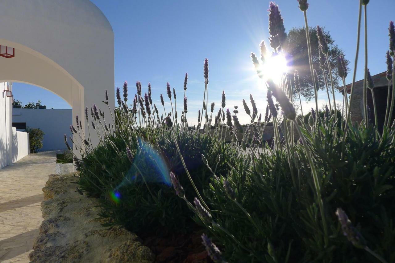 Finca Du Ressourcement Higueron Lejlighed Vejer de la Frontera Eksteriør billede
