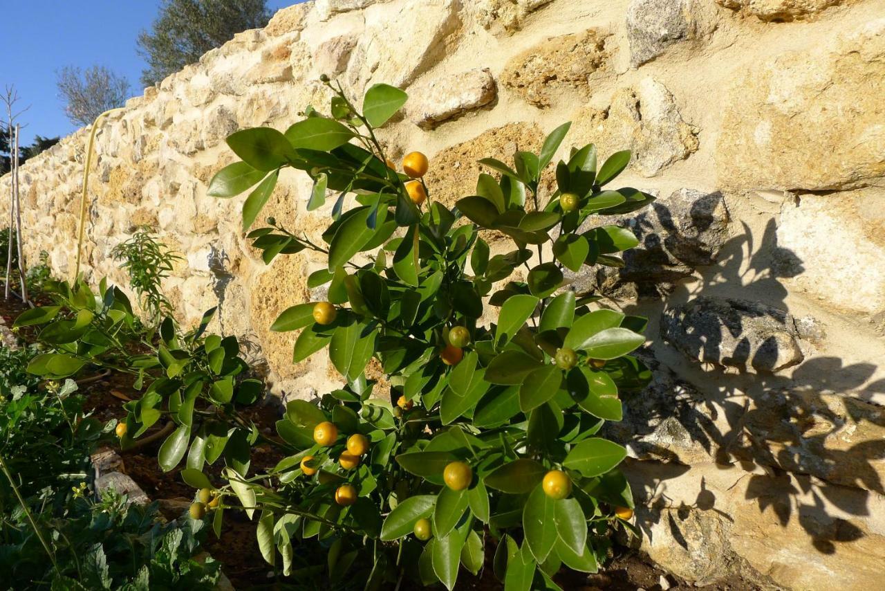Finca Du Ressourcement Higueron Lejlighed Vejer de la Frontera Eksteriør billede