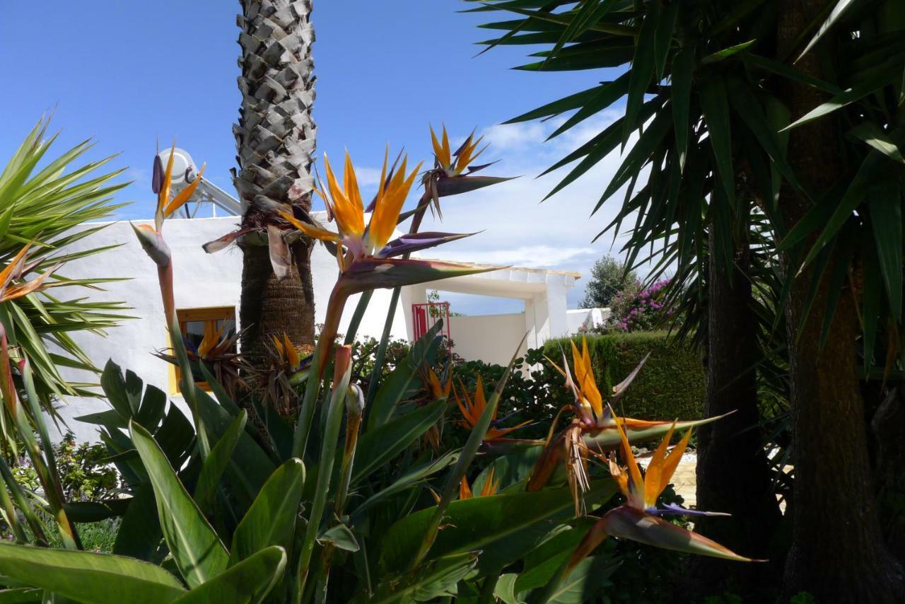 Finca Du Ressourcement Higueron Lejlighed Vejer de la Frontera Eksteriør billede