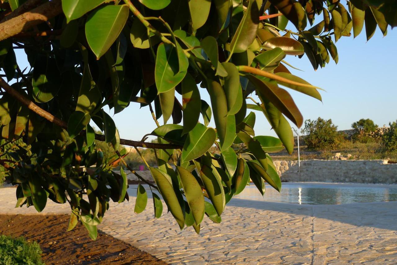 Finca Du Ressourcement Higueron Lejlighed Vejer de la Frontera Eksteriør billede